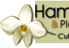 Hamilton Orchids & Plantscapes San Francisco Bay Area