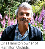 Cris Hamilton owner of Hamilton Orchids next to a Dendrobium Superbum Orchid in the Hamilton Orchids Greenhouse